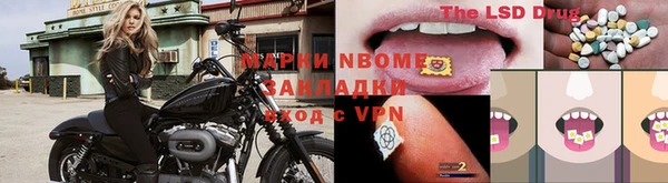 СК Алексин