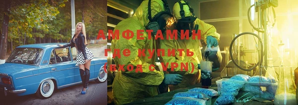 индика Кулебаки