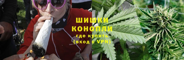 СК Алексин