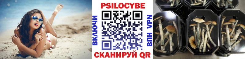 блэк спрут ONION  Солнечногорск  Псилоцибиновые грибы прущие грибы 