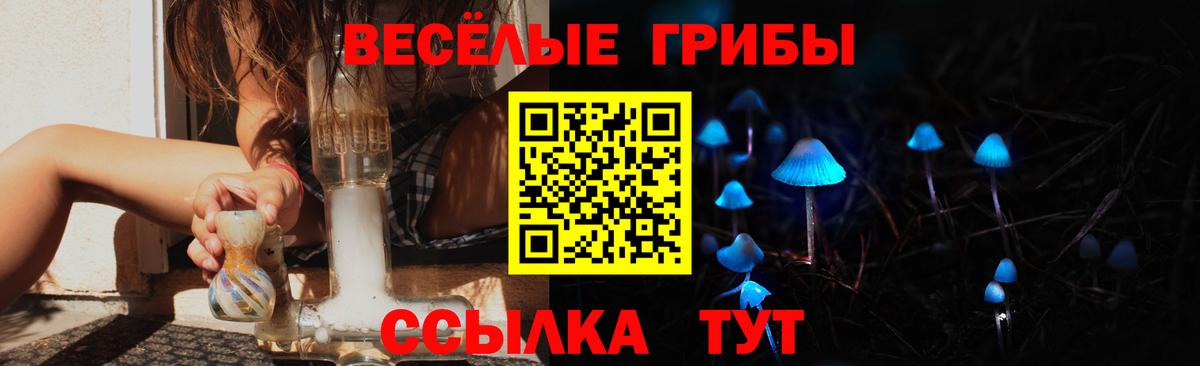 закладка  Галлюциногенные грибы прущие грибы  Солнечногорск  Вход с VPN  Галлюциногенные грибы GOLDEN TEACHER 